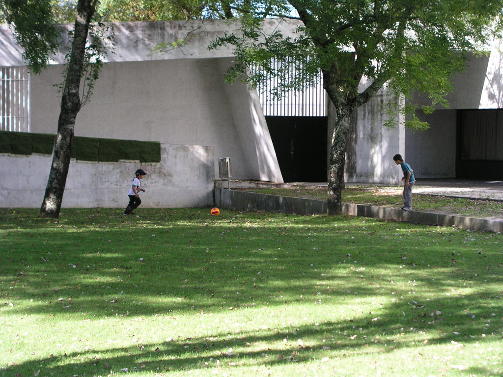 p9072501.jpg