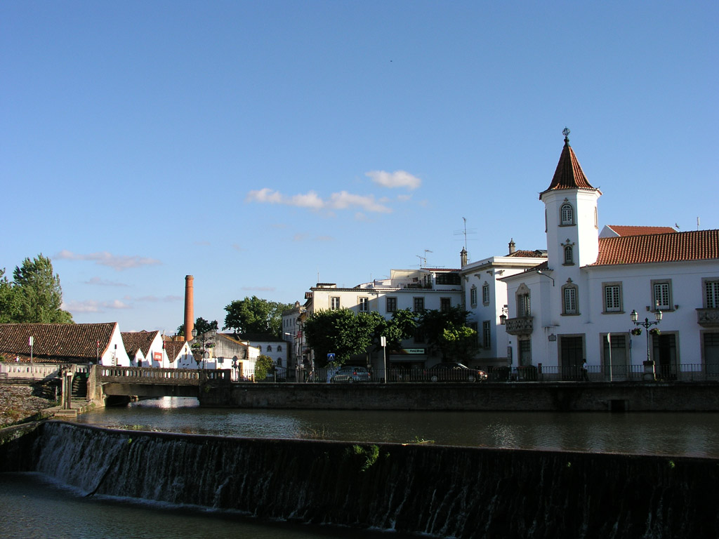 p5311398.jpg