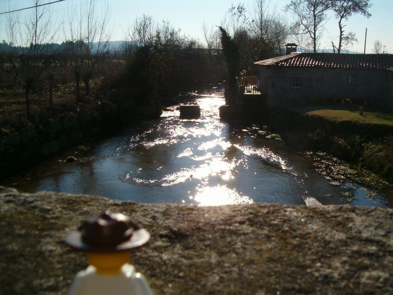 nine_portugal_02.jpg