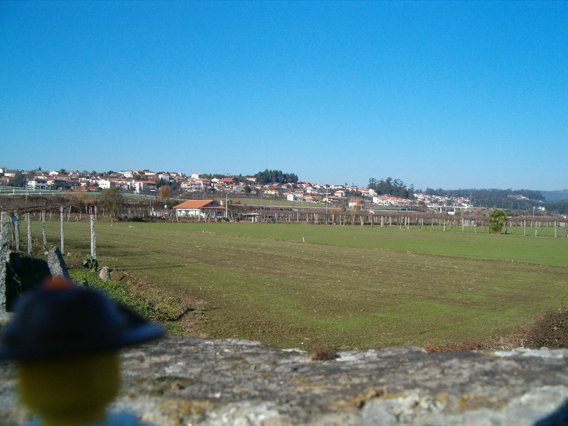nine_portugal_05.jpg