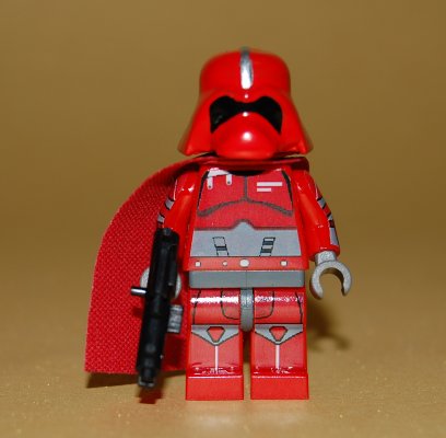 luke_imperial_guard1_1.jpg