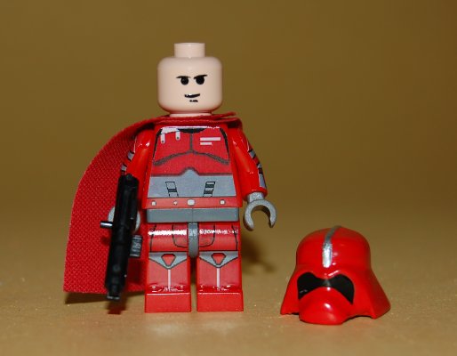 luke_imperial_guard1_3.jpg