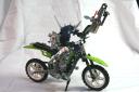 009gorabike.jpg