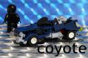 Coyote