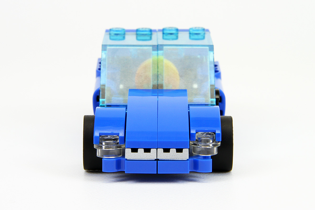004lepus.jpg