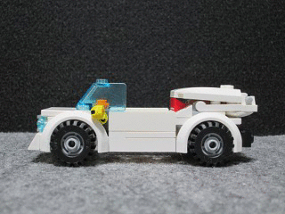 008molecab.gif
