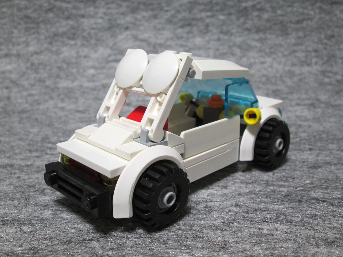 010molecab.jpg