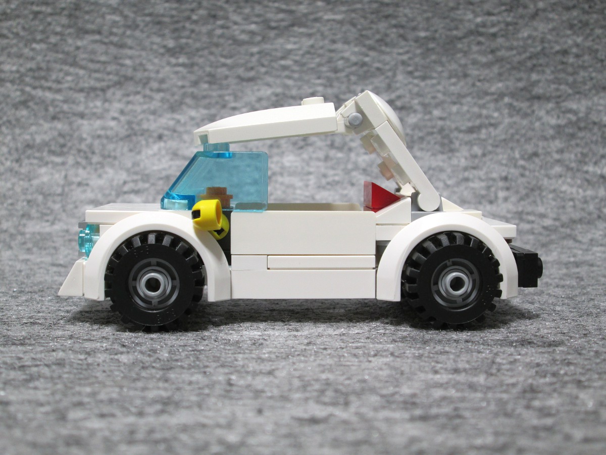 011molecab.jpg