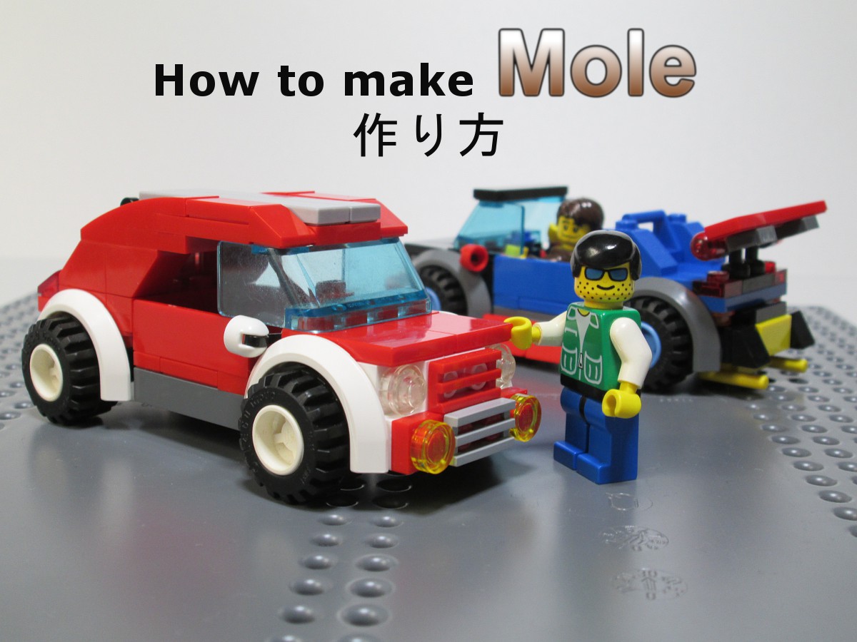 000makemole.jpg