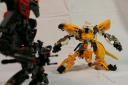 0010yellow.jpg