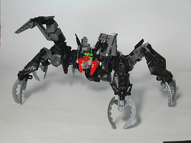 05spider.jpg