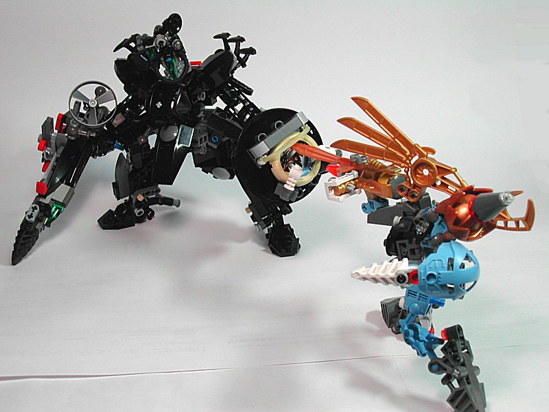 016duke2.jpg