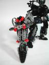 006duke2.jpg