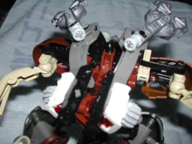 02tuno.jpg