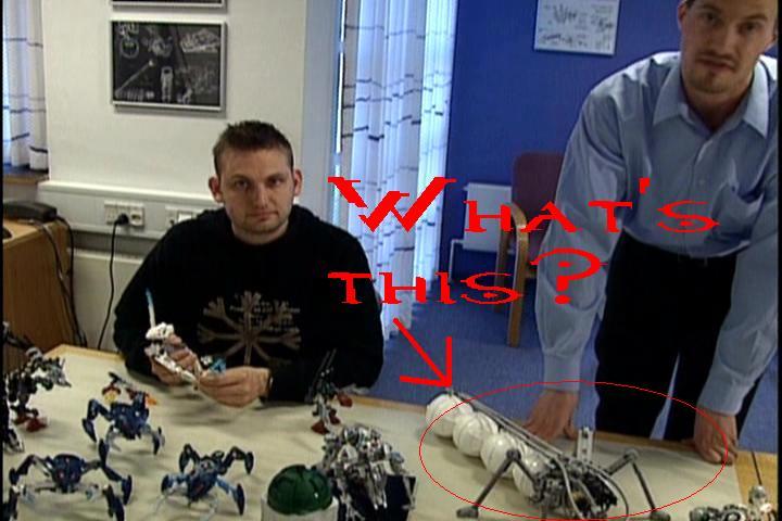 whatsthis.jpg