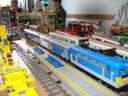 dsc05188.jpg