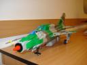 dsc06491.jpg
