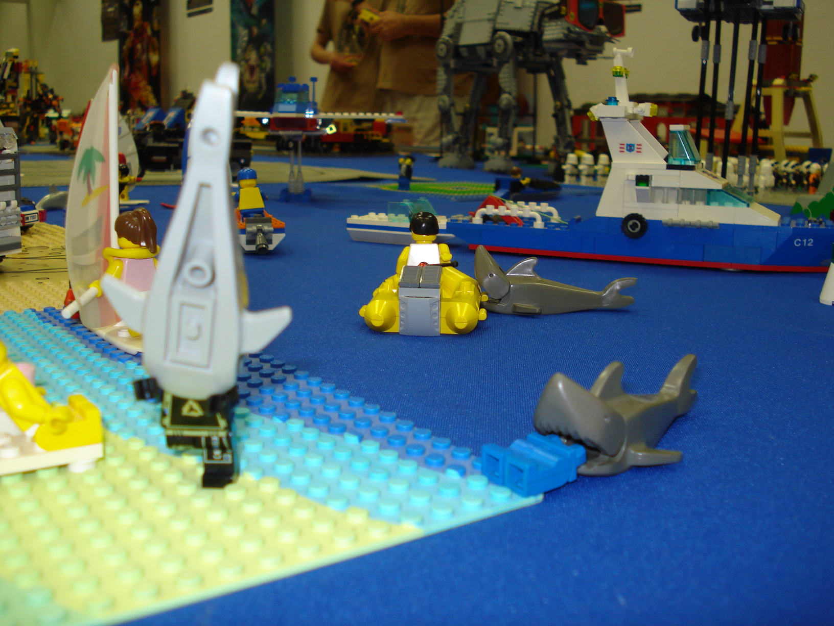 dsc04712.jpg