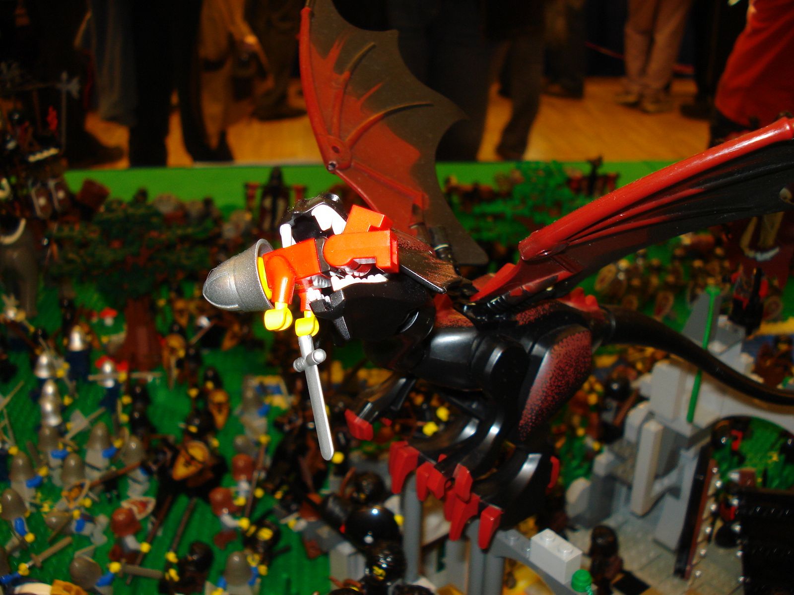 dsc05662.jpg