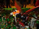dsc05662.jpg