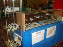 dsc07101.jpg