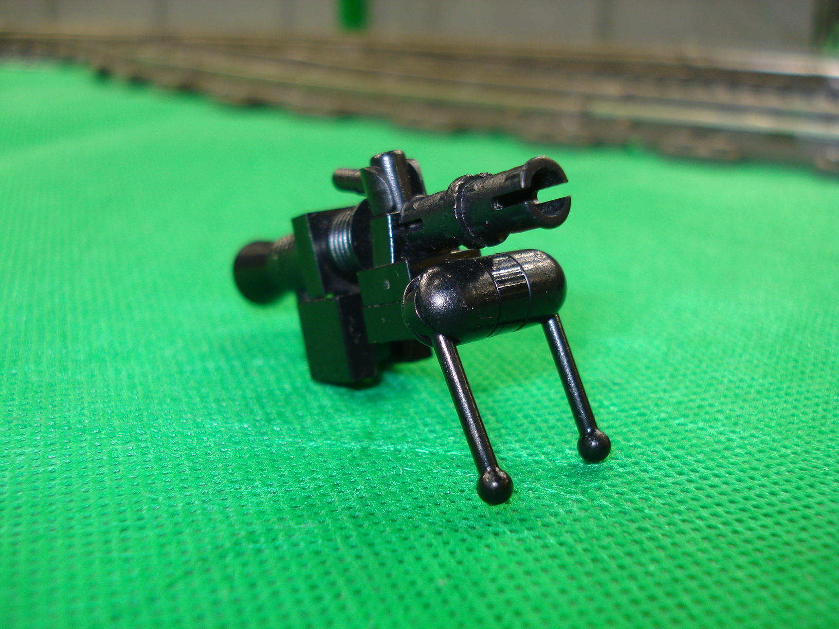 dsc08578.jpg
