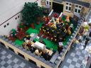 dsc08561.jpg