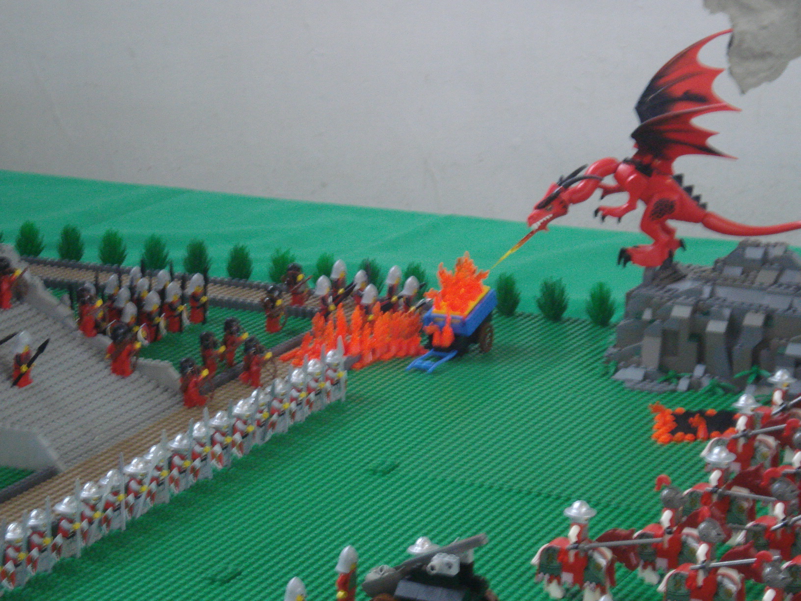 dsc05095.jpg