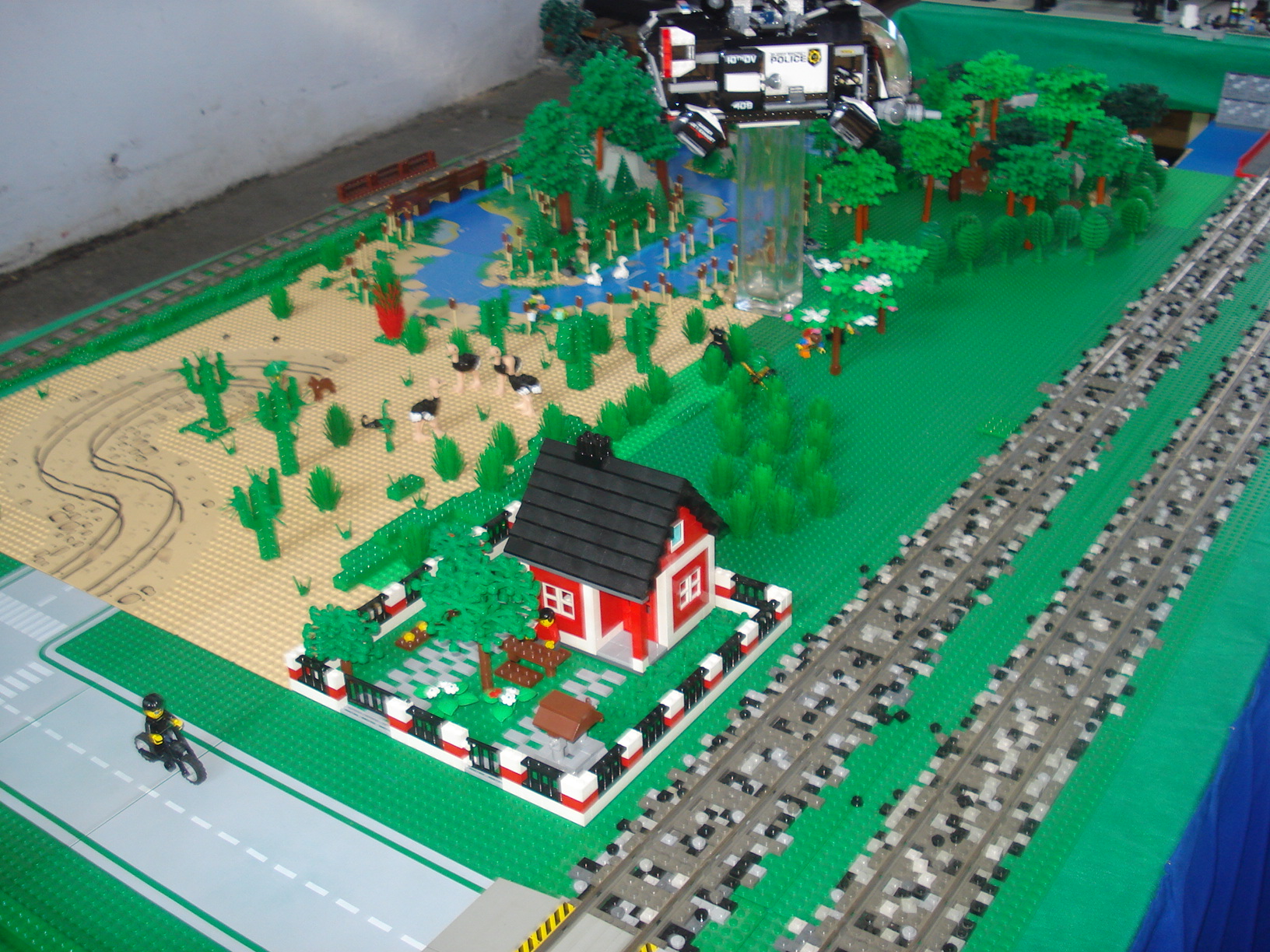 dsc07595.jpg