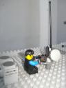 dsc07628.jpg