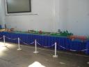 dsc07674.jpg