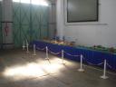dsc07675.jpg