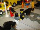 dsc00055.jpg