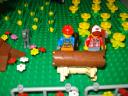 dsc00154.jpg