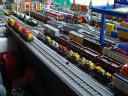 dsc07171.jpg