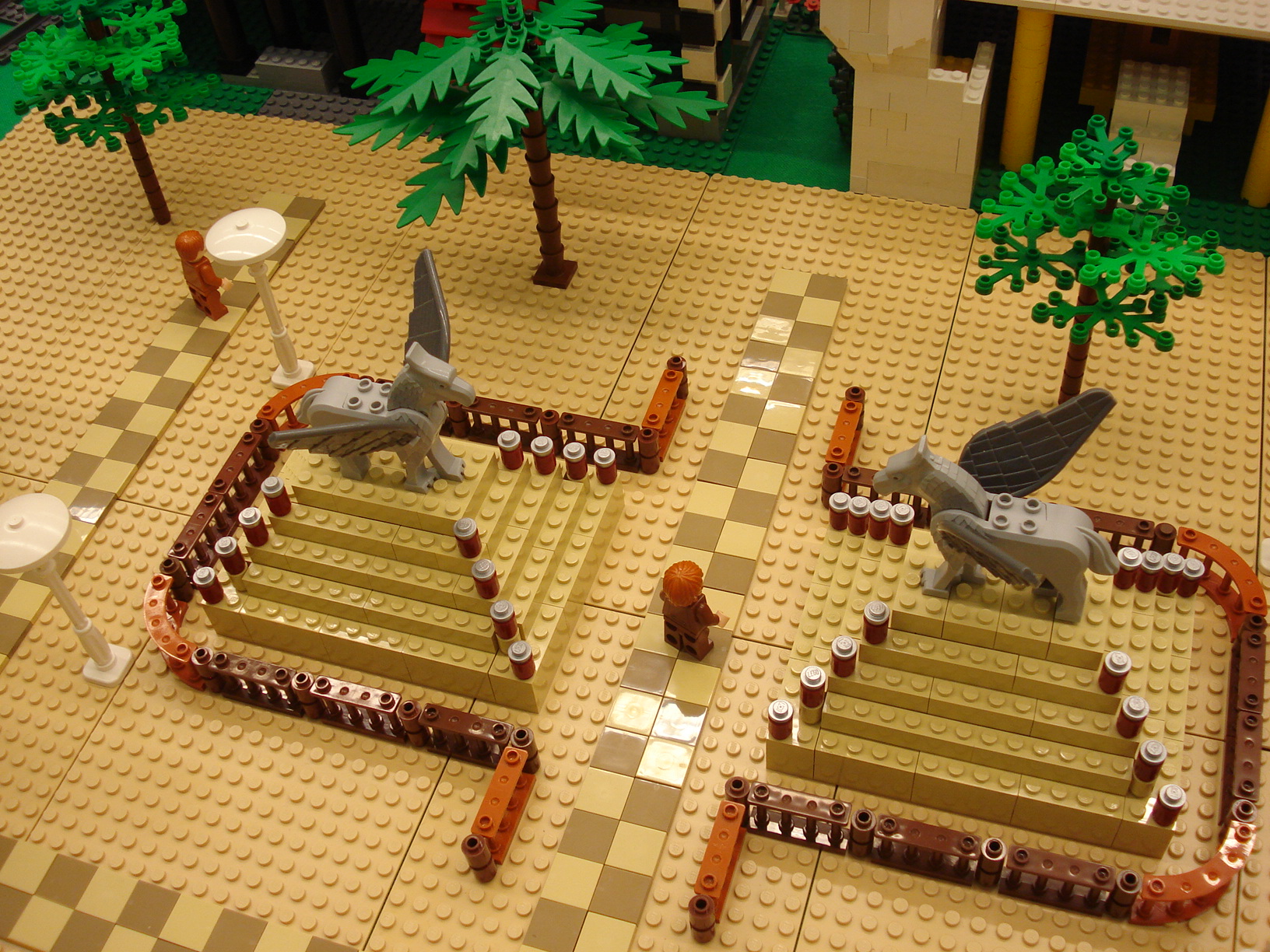 dsc07878.jpg
