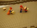 dsc07837.jpg