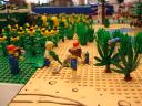dsc07871.jpg