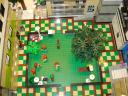 dsc07892.jpg