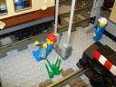 dsc07900.jpg