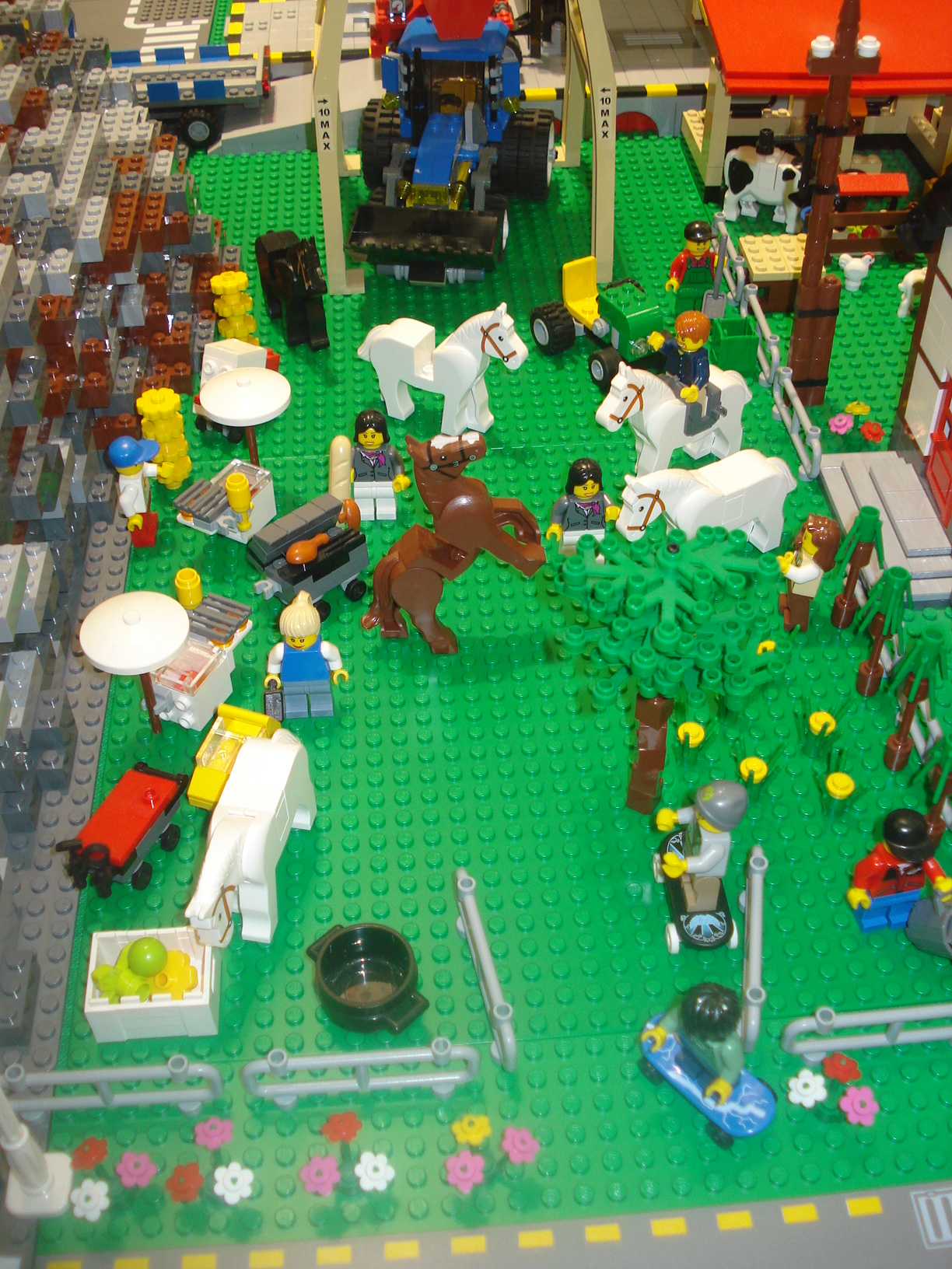 dsc05316.jpg