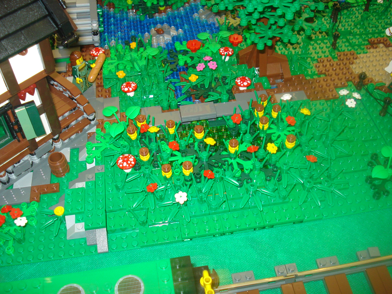 dsc05325.jpg