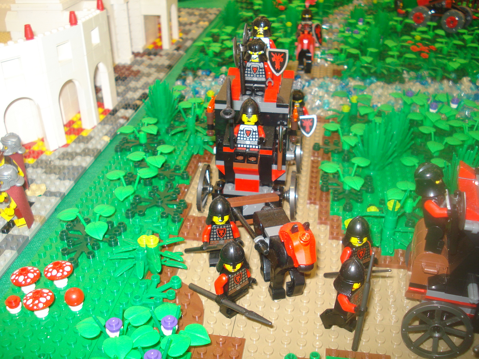 dsc05333.jpg