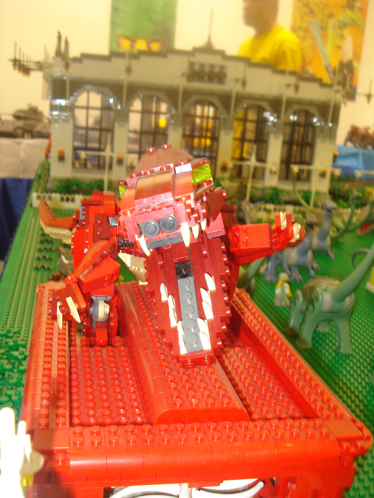 dsc05363.jpg
