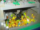 dsc05315.jpg