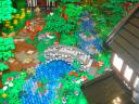 dsc05324.jpg