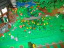 dsc05325.jpg