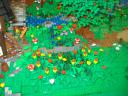 dsc05326.jpg