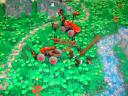 dsc05335.jpg