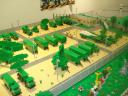 dsc05368.jpg